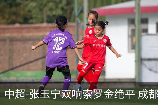 中超-张玉宁双响索罗金绝平 成都连扳两球2-2国安4连平
