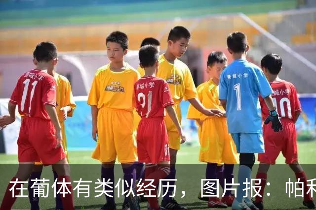 在葡体有类似经历，图片报：帕利尼亚从未放弃在拜仁证明自己