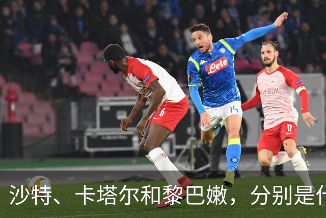 沙特、卡塔尔和黎巴嫩，分别是什么水平？